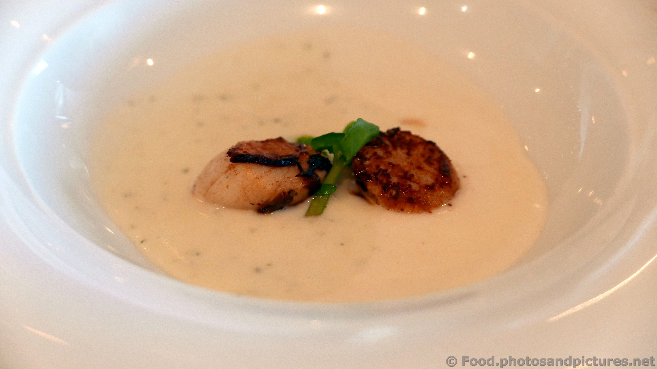 Seared Atlantic Scallops.jpg